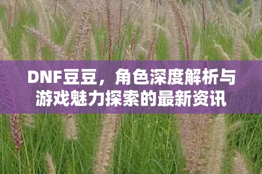 角色深度解析与游戏魅力探索的最新资讯图片