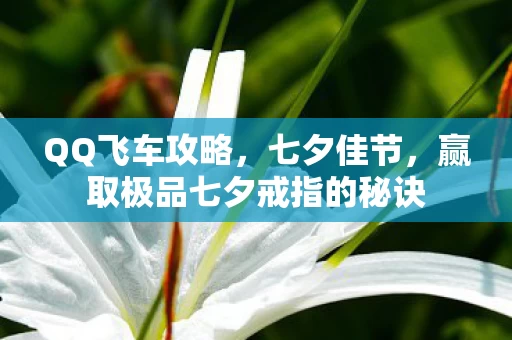赢取极品七夕戒指的秘诀图片