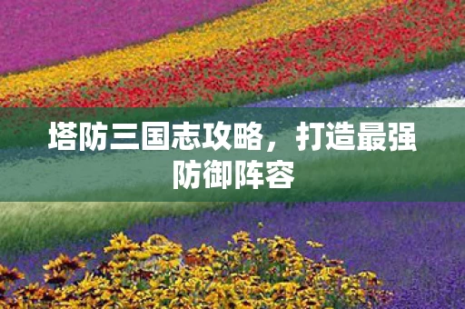 打造最强防御阵容图片