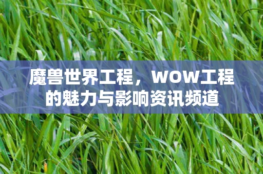 WOW工程的魅力与影响资讯频道图片