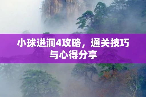 通关技巧与心得分享图片