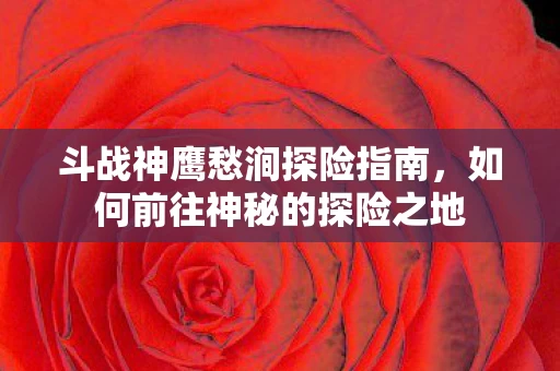 如何前往神秘的探险之地图片