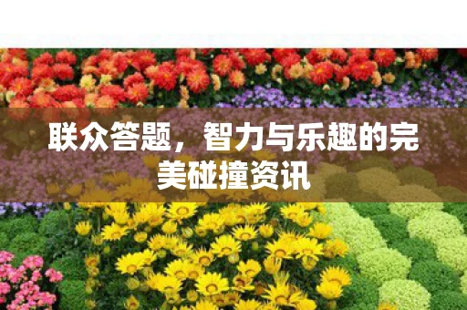 智力与乐趣的完美碰撞资讯图片