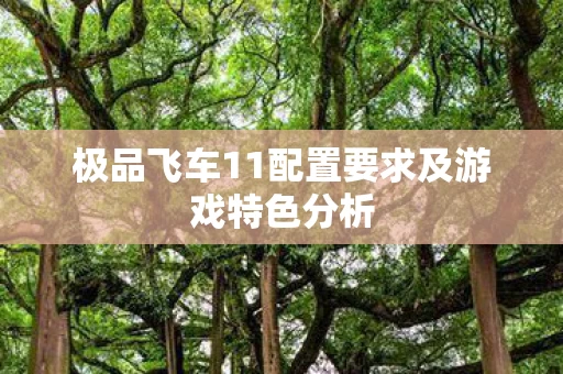 极品飞车11配置要求及游戏特色分析图片