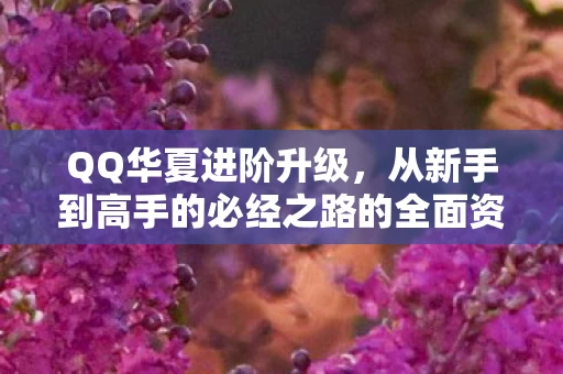 从新手到高手的必经之路的全面资讯图片