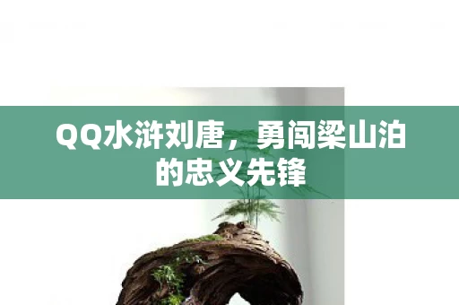 勇闯梁山泊的忠义先锋图片