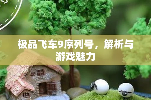 极品飞车9序列号图片