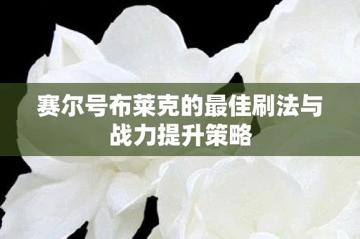 赛尔号布莱克的最佳刷法与战力提升策略图片