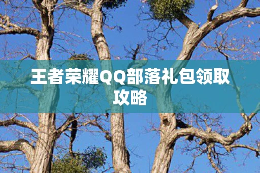 王者荣耀QQ部落礼包领取攻略图片