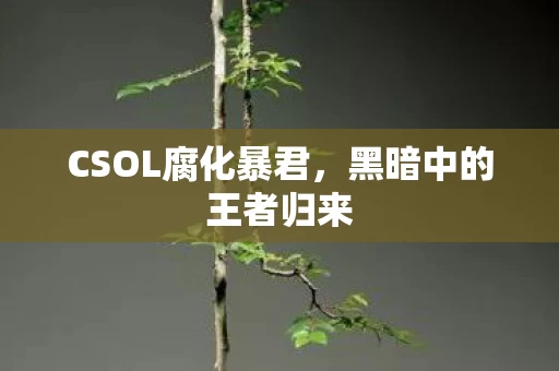 CSOL腐化暴君图片