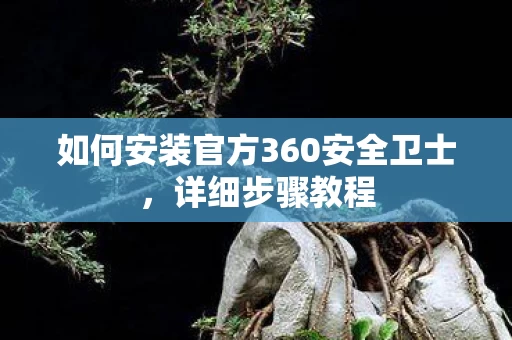 如何安装官方360安全卫士图片