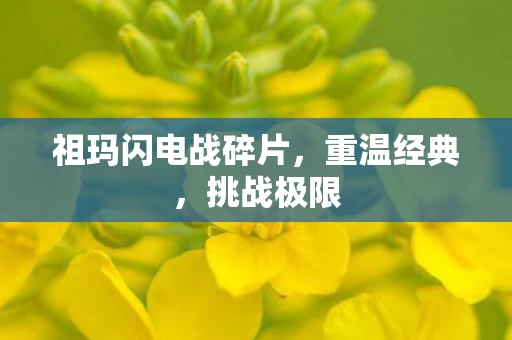 祖玛闪电战碎片图片