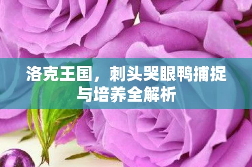 刺头哭眼鸭捕捉与培养全解析图片