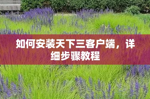 如何安装天下三客户端图片
