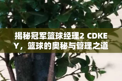 揭秘冠军篮球经理2 CDKEY图片