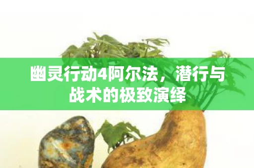 潜行与战术的极致演绎图片
