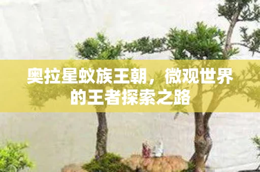 微观世界的王者探索之路图片