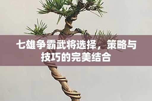 策略与技巧的完美结合图片