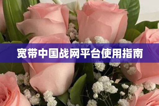 宽带中国战网平台使用指南图片