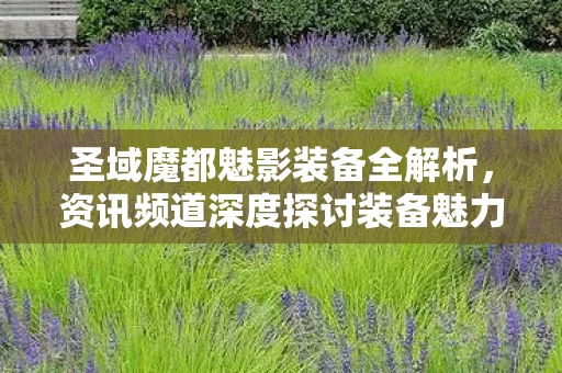 资讯频道深度探讨装备魅力图片