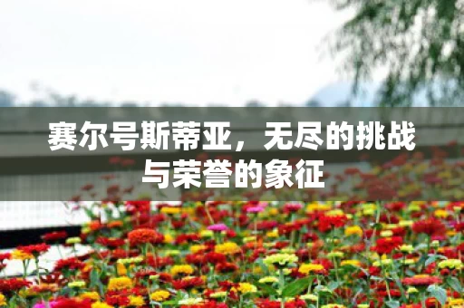 无尽的挑战与荣誉的象征图片