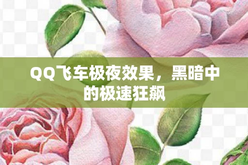 QQ飞车极夜效果图片