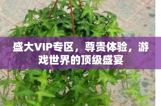 游戏世界的顶级盛宴图片