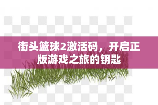 开启正版游戏之旅的钥匙图片