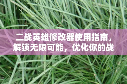 二战英雄修改器使用指南图片