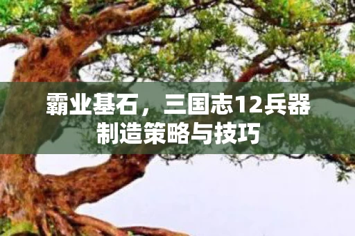 三国志12兵器制造策略与技巧图片
