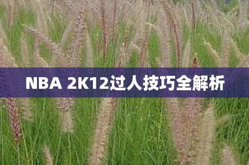 NBA 2K12过人技巧全解析图片