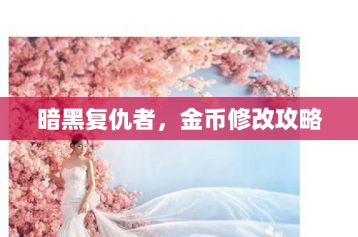 金币修改攻略图片