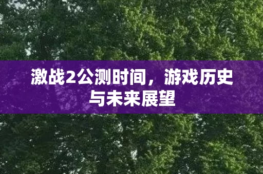 游戏历史与未来展望图片