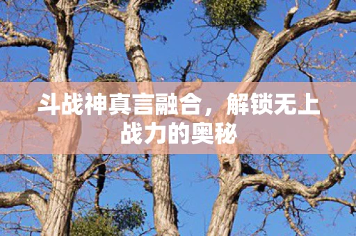 解锁无上战力的奥秘图片