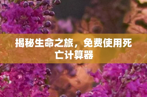 免费使用死亡计算器图片