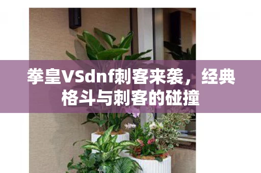 拳皇VSdnf刺客来袭图片