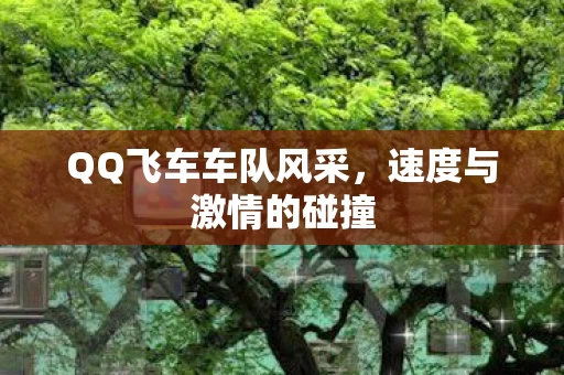 QQ飞车车队风采图片