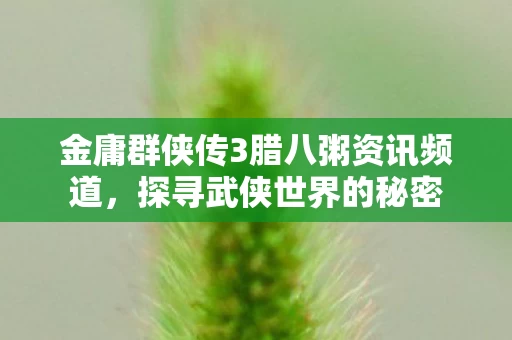 金庸群侠传3腊八粥资讯频道图片