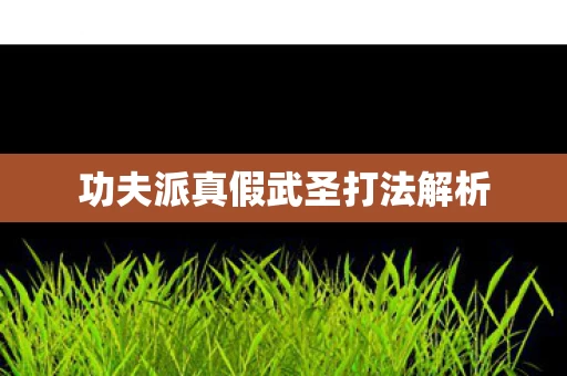 功夫派真假武圣打法解析图片