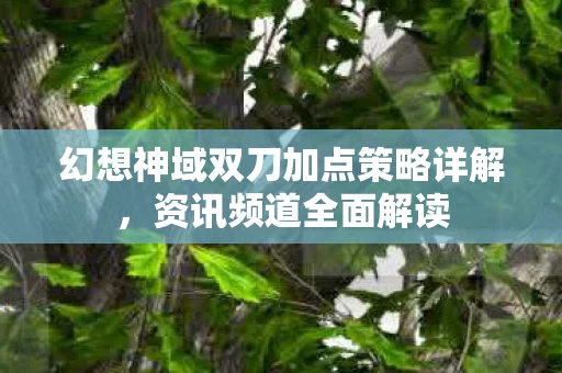 幻想神域双刀加点策略详解图片
