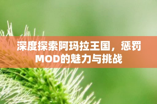 惩罚MOD的魅力与挑战图片