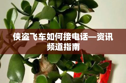 侠盗飞车如何接电话图片