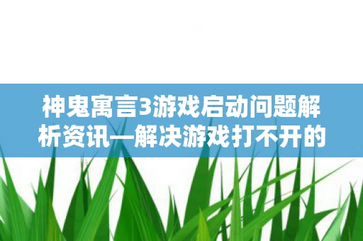 神鬼寓言3游戏启动问题解析资讯图片