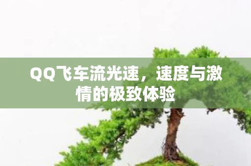 速度与激情的极致体验图片