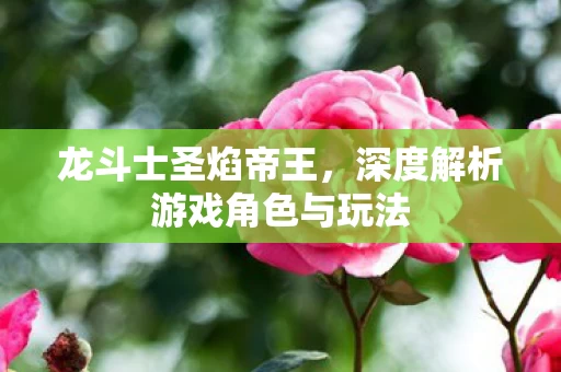 深度解析游戏角色与玩法图片