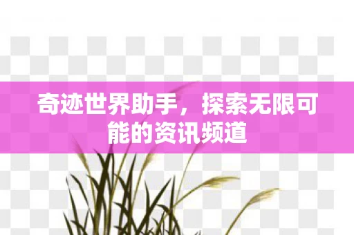 探索无限可能的资讯频道图片