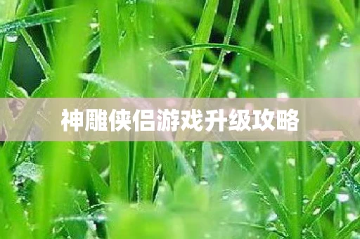 神雕侠侣游戏升级攻略图片