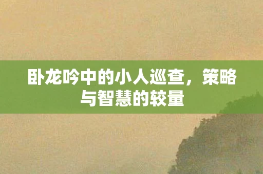 卧龙吟中的小人巡查图片