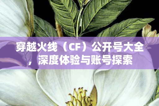 深度体验与账号探索图片