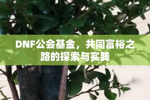 共同富裕之路的探索与实践图片